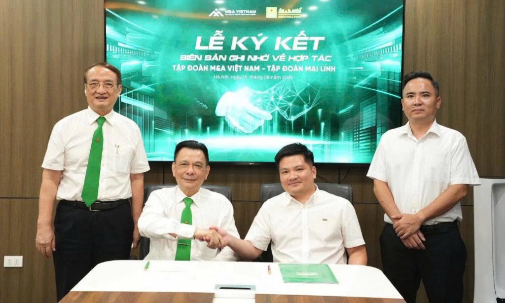 M&A VIỆT NAM – MAI LINH: TỪ TÁI CẤU TRÚC ĐẾN KIẾN TẠO MÔ HÌNH TĂNG TRƯỞNG MỚI