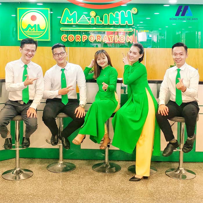 Tập đoàn Mai Linh – Cơ hội M&A Tái cấu trúc Vận tải
